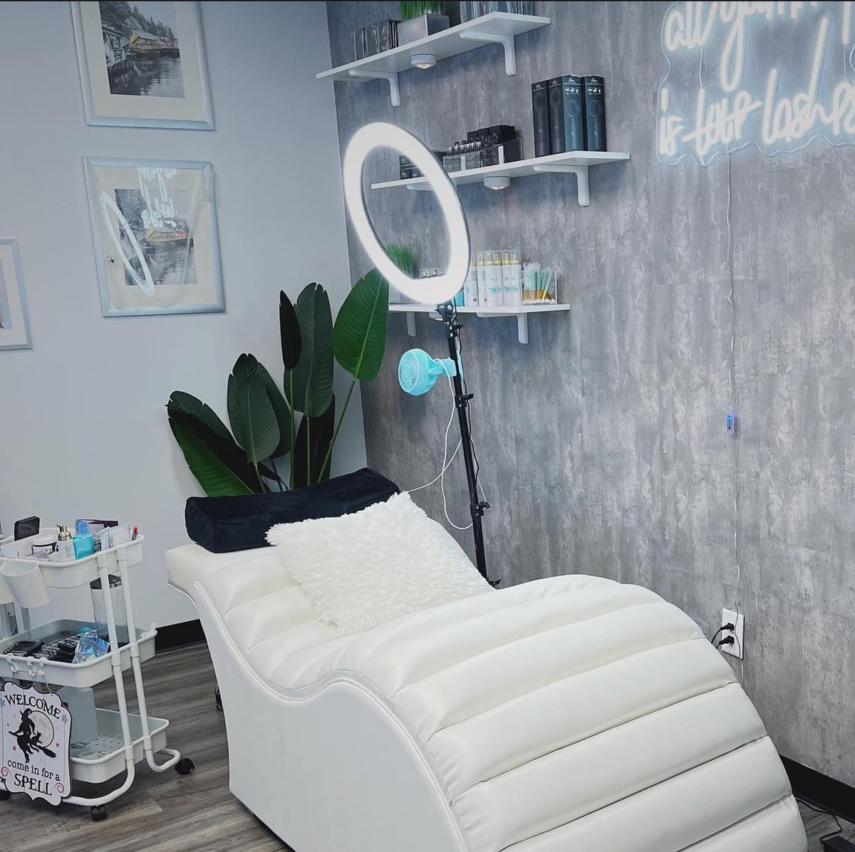 Luxury Lash Bed Raffle (winner 12/25/25)